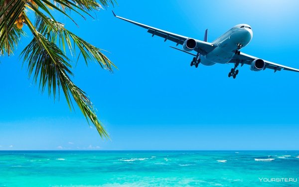 Самолет в небе