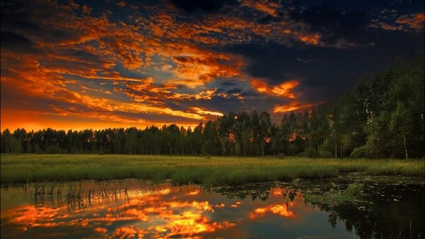 Вечернее солнце