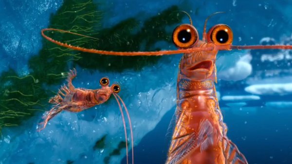 Креветка это планктон