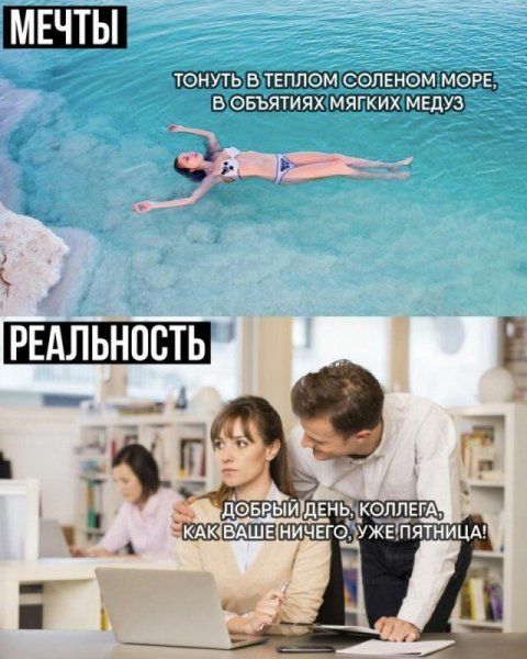 Кот на море нарисованный