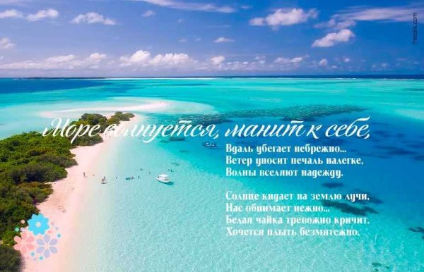 О море море стихи