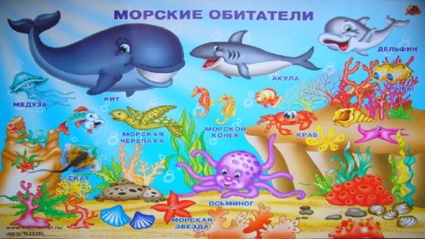Обитатели морей и океанов для детей