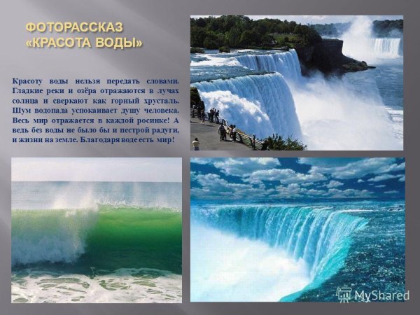 Водные обитатели задание для детей