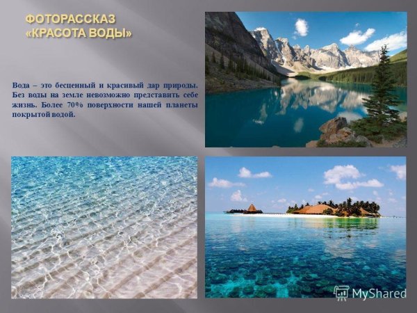 Животный мир морей презентация