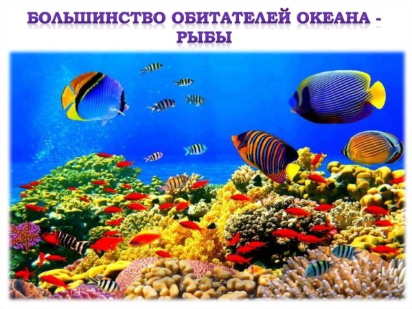 Где в природе встречается вода