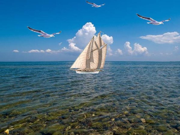 Удивительная красота моря