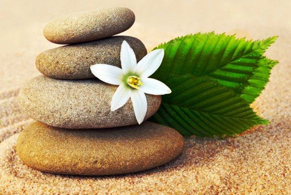 Цветы камни