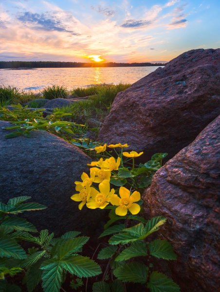 Кивипарк Выборг