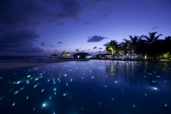 Костер вечером на берегу моря