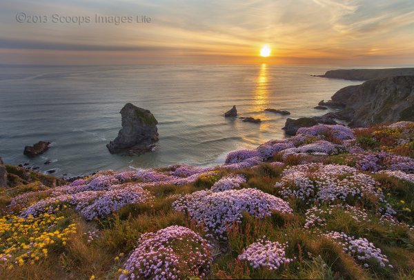 Нежный пейзаж