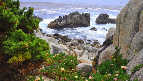 Мыс Мартьян заповедник