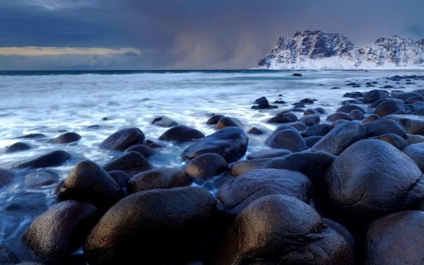 Море ракушки