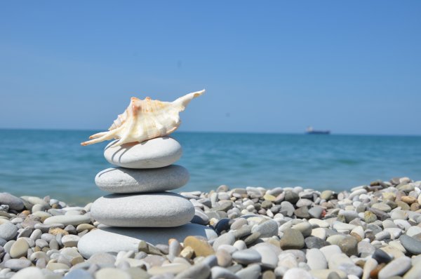 Скалы на берегу моря