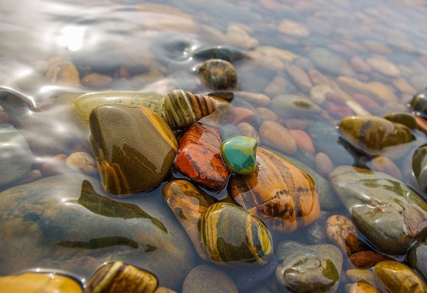 Морской пейзаж в зеленых тонах