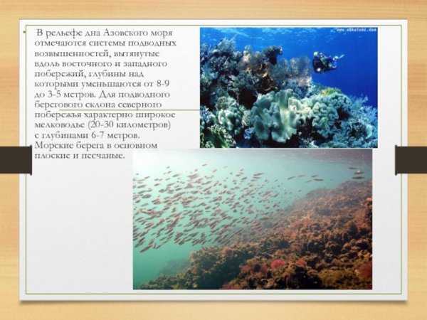 Глубина Азовского моря