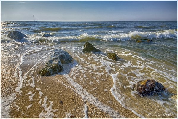 Типы берегов Азовского моря