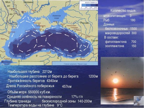 Глубина Азовского моря средняя и максимальная
