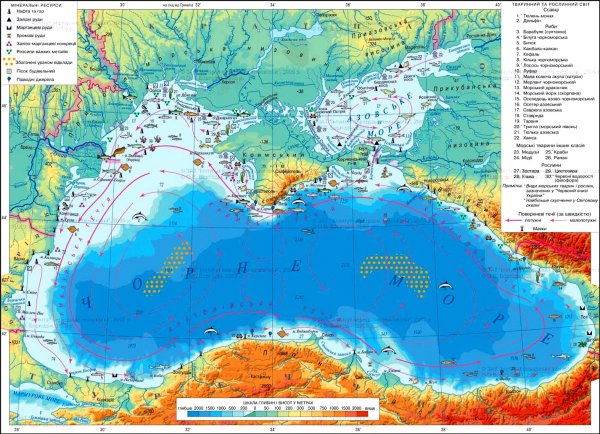 Рельеф дна черного моря