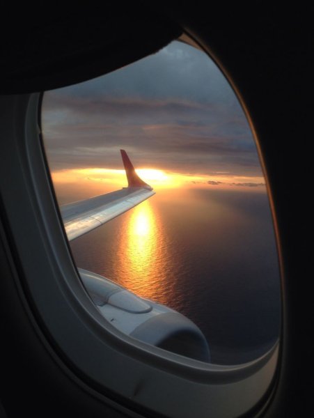 Рука на окне самолета