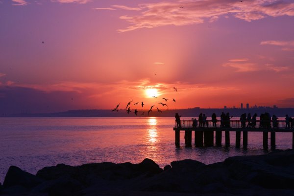 Столик у моря