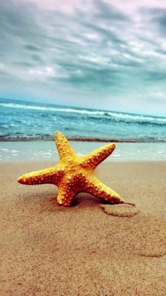 Девушка лето