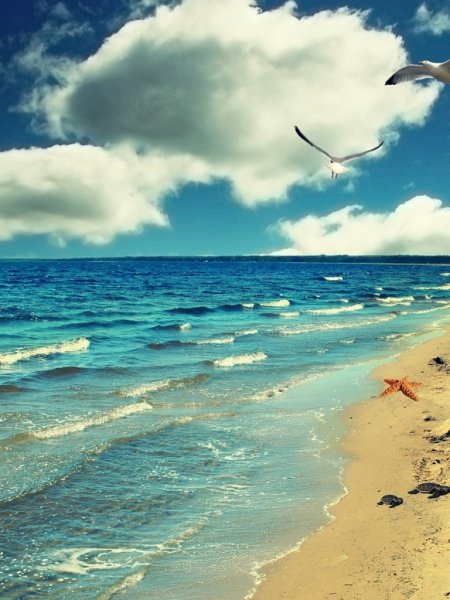 Девушка в Красном платье на пляже