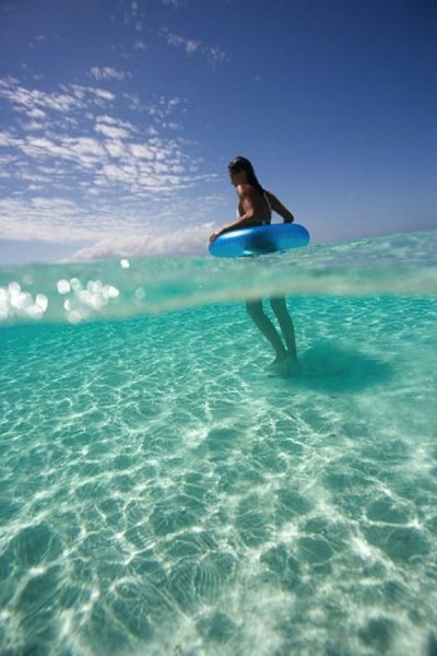 Море ракушки