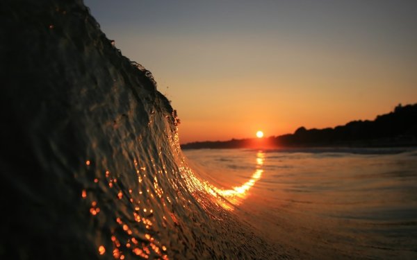 Дарина Плотникова