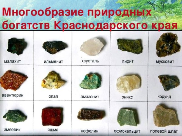 Морское дно галька