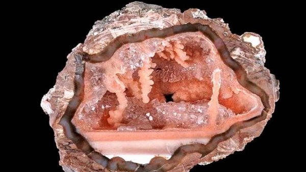 Черные курильщики