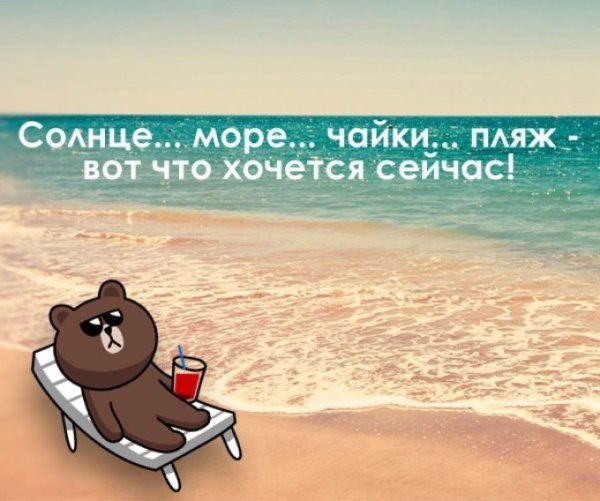 Кот отдыхает на пляже