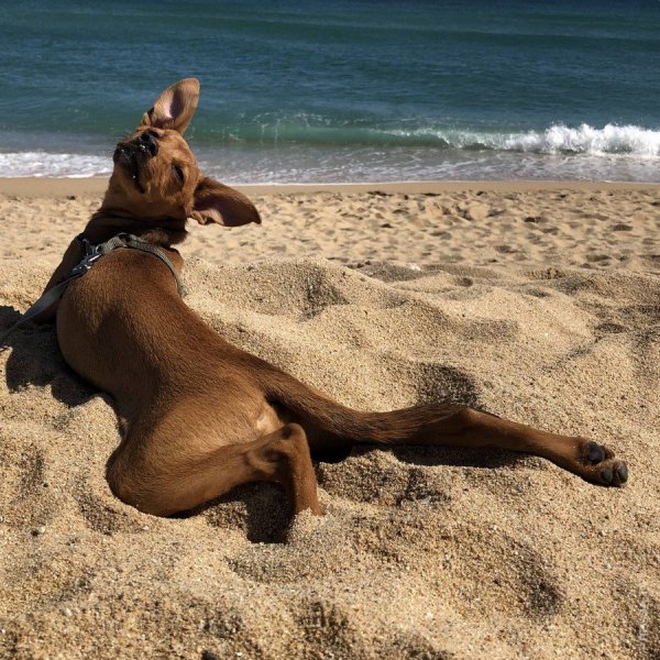 Девушка прыгает в море