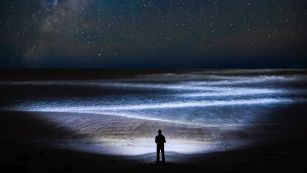 Морская звезда в море