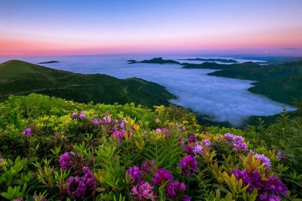 Весна горы море