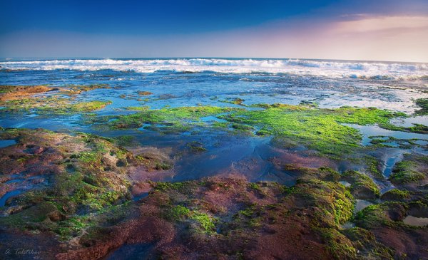 Море вид сверху
