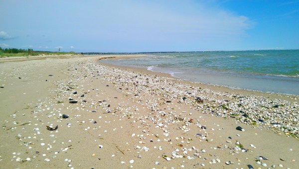 Береговая линия Азовского моря