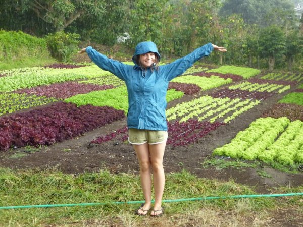 Сады и огороды Приморья