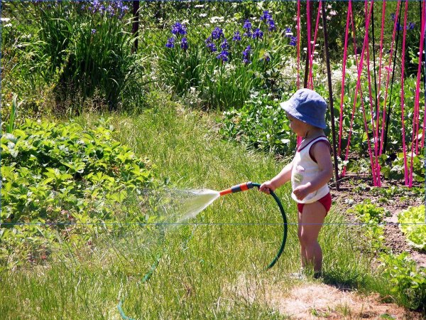 Огород для детей