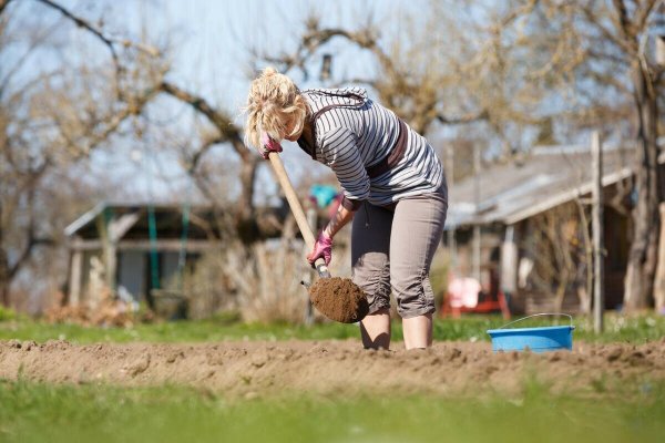 Женщина на даче