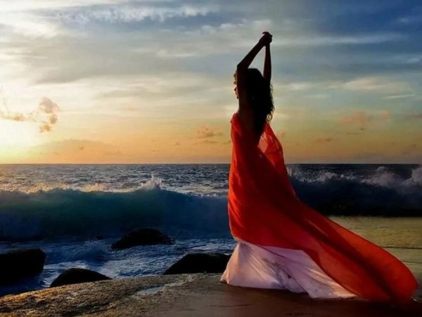 Море птицы девушка