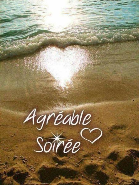 Утро море цветы