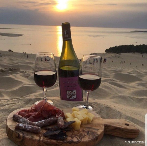 Море шампанское цветы