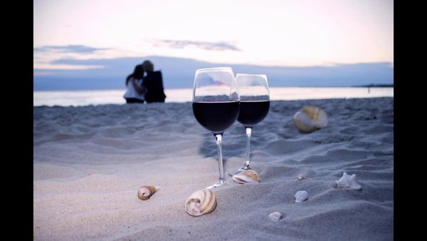 Вино на берегу моря