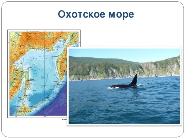 Охотское море презентация