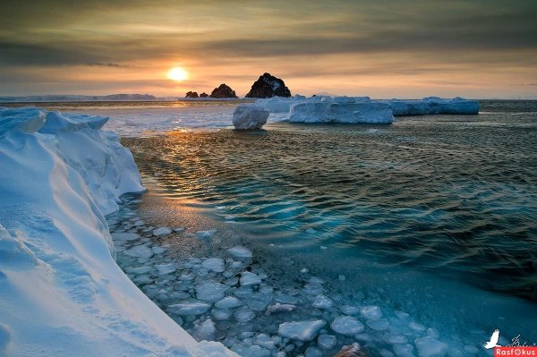 Свечение Охотского моря