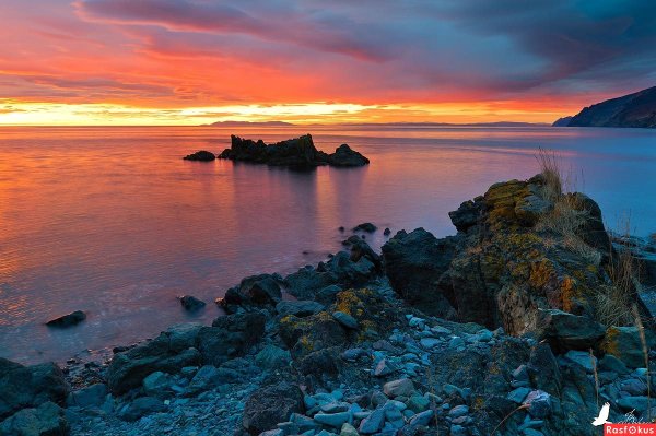 Охотское море тихий океан