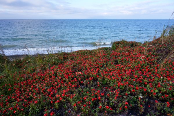 Охотское море