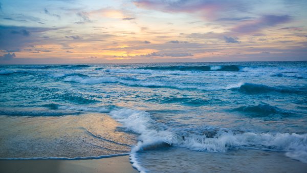 Море пальмы 4к