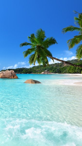 Море вертикально