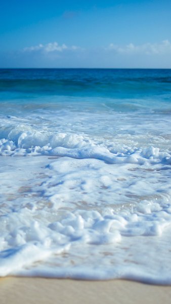 Мировой океан